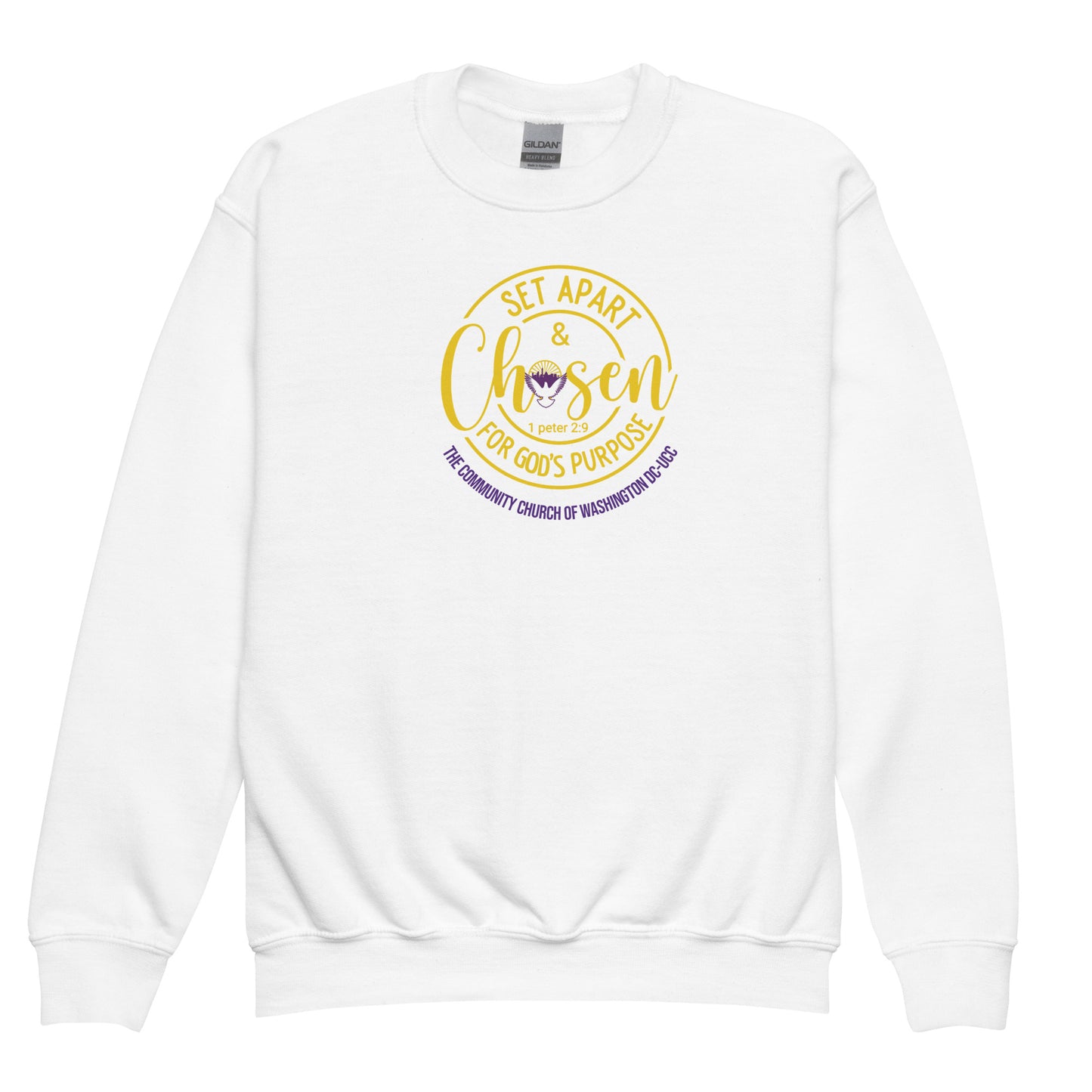 Youth crewneck sweatshirt